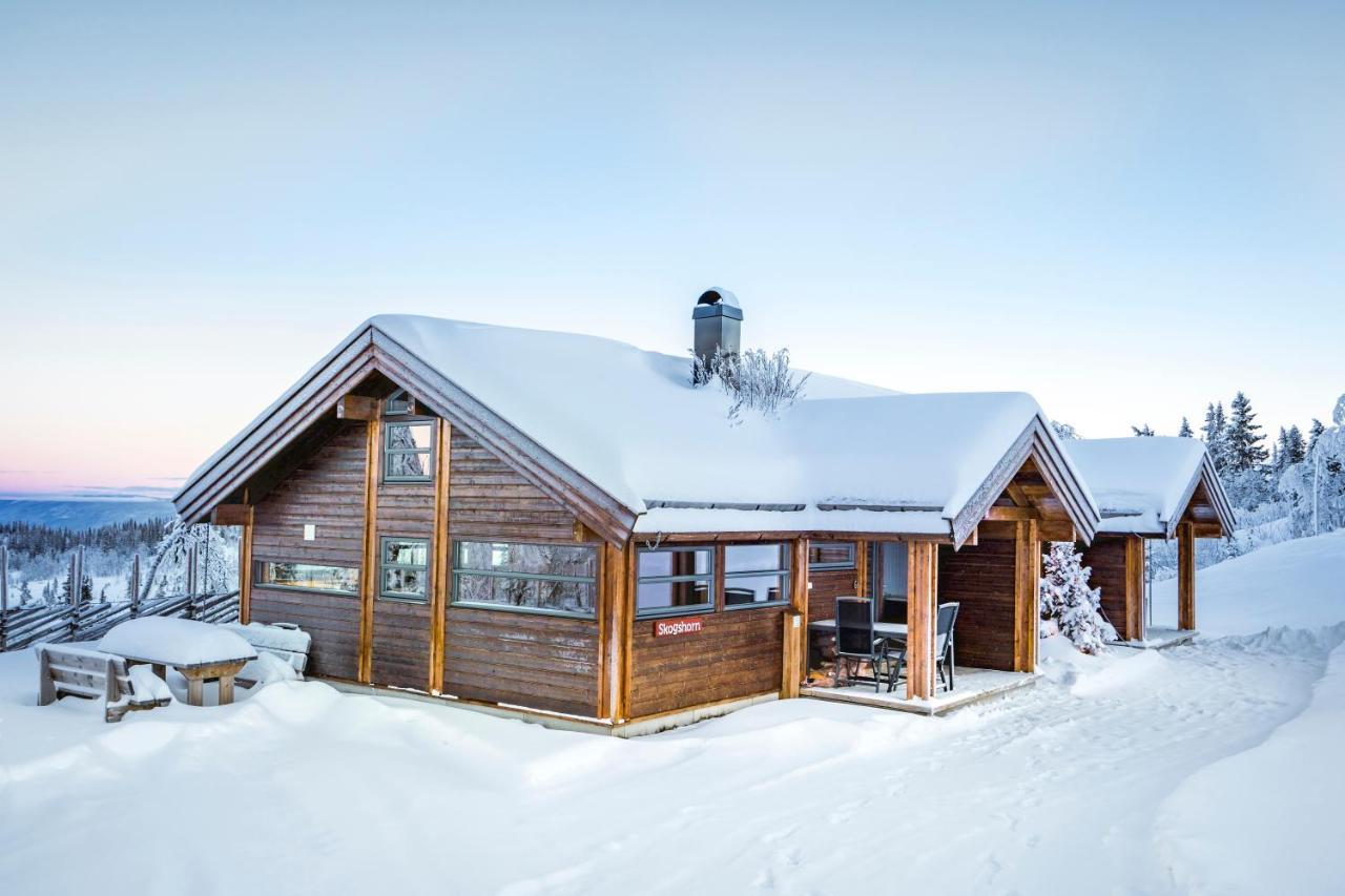 Liapark Lodge Al